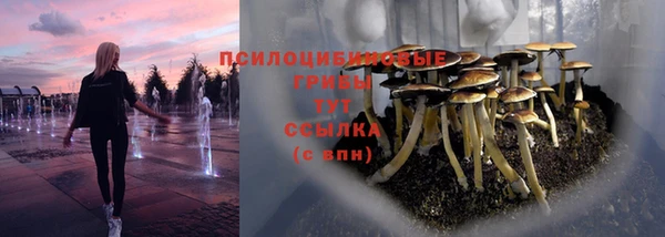 хмурый Армянск