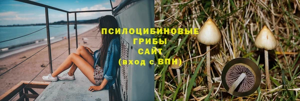 PSILOCYBIN Арсеньев