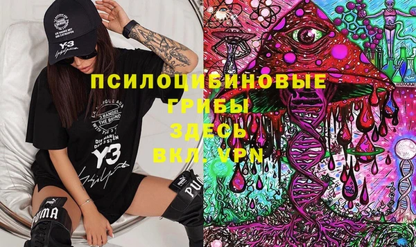 мяу мяу мука Няндома