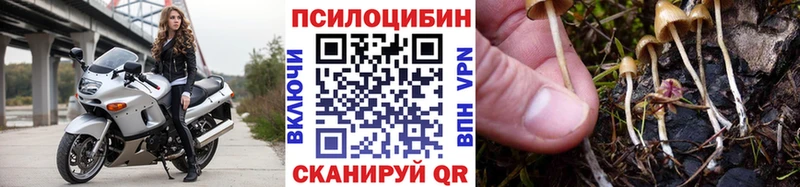 Купить закладки  Белебей  Псилоцибиновые грибы MAGIC MUSHROOMS 